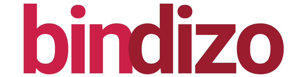 BinDizo
